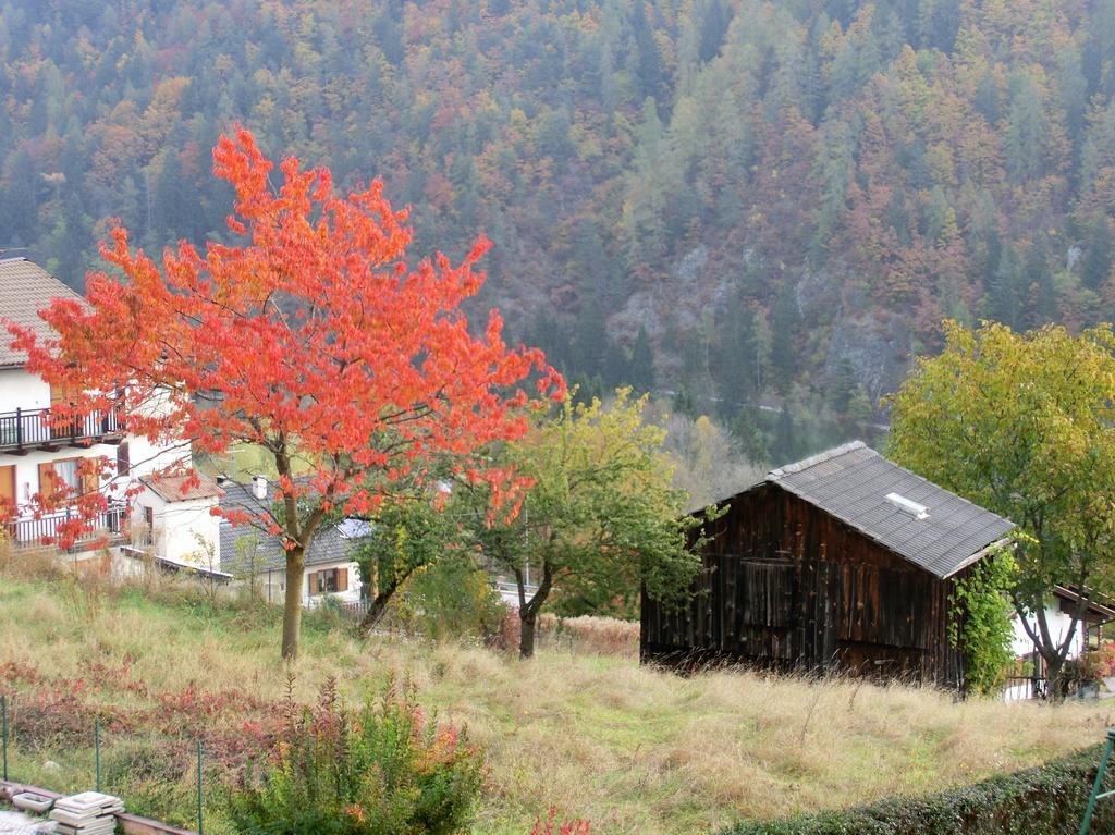 Hotel Belvedere Wellness & Family Baselga di Pine Exterior photo