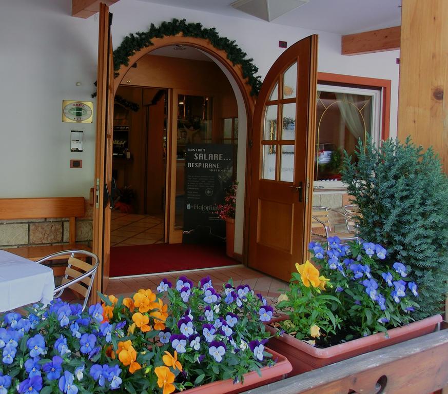 Hotel Belvedere Wellness & Family Baselga di Pine Exterior photo